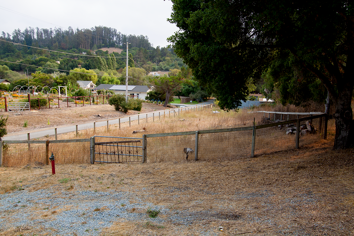 Pasture below the house—garden or farm animals possible.