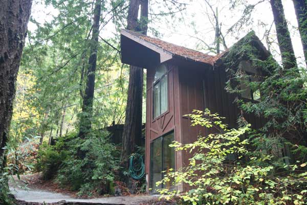 Back view: two-story cottage in the redwoods.