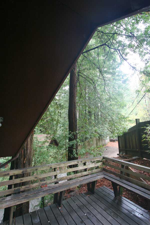 View from the upper deck into the trees.