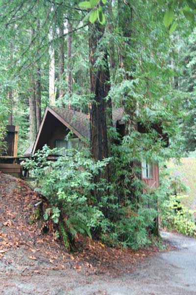 Driveway view: upper entrance/deck left, lower entrance right.