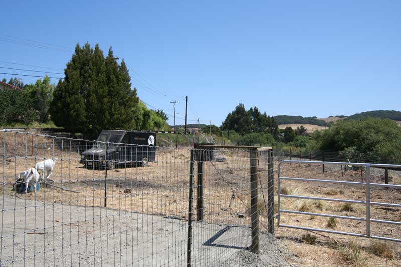 Fenced pasture—animals or huge garden potential.
