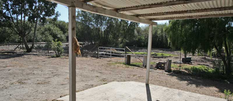 Back fencing along field with stream/pond visited by birds.