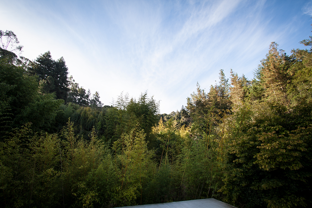 Deck view across nursery paths you can enjoy.