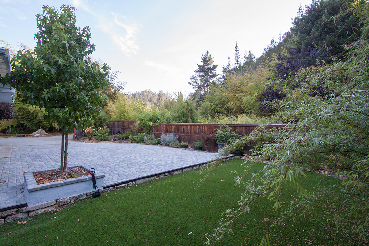 Another yard view.