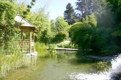 Sample of the display gardens along the driveway.