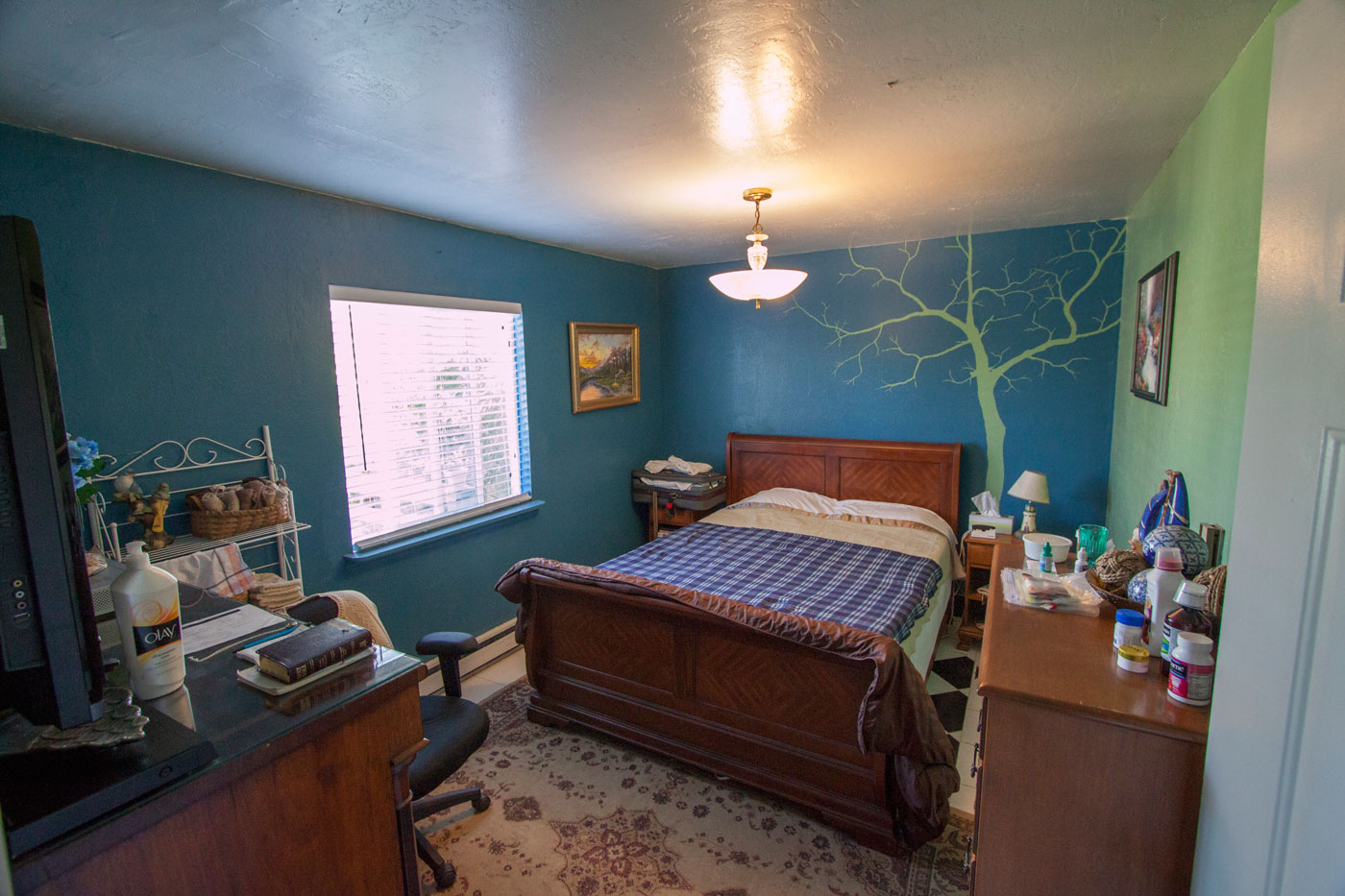 Guest/second bedroom ~10×15 with mural and its own heat.